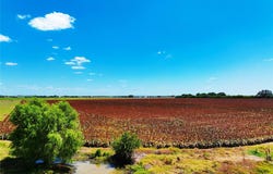 FM 621, Martindale, TX 78655