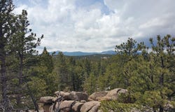 2928 Fox Acres Dr E, Red Feather Lakes, CO 80545