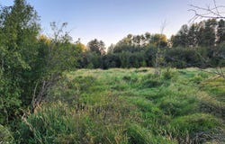 W Enoch Rd, Deer Park, WA 99006