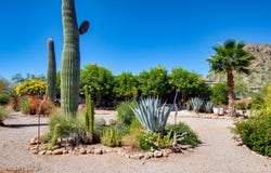 6605 N Dimitri Lane, Tucson, AZ 85743