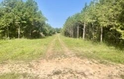 Tract 1&2 W Highway 32, Licking, MO 65542