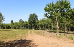 Tower Hill Rd, Appomattox, VA 24522