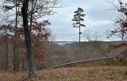 Crestwood Dr, Waverly, TN 37185
