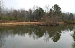 000 Co Rd 1069, Vinemont, AL 35179