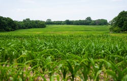 SLADE AVE, Gallatin, MO 64640