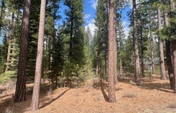 856 Prospector Drive lot: 13, Clio, CA 96106