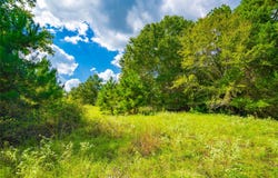 14799 FM 315, Palestine, TX 75803