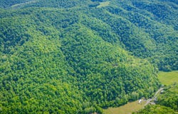Fairview Road, Duffield, VA 24244