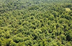 County Road 434, Birch Tree, MO 65438