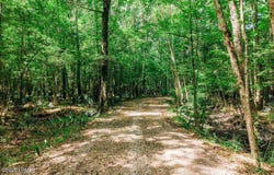 1 Parnel Road, Cope, SC 29038