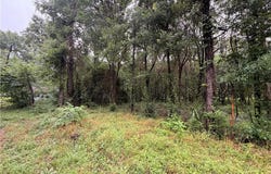 Pecan Tree Lane, Montgomery, TX 77316