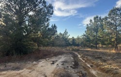 8 Acres Parker Road, McHenry, MS 39561