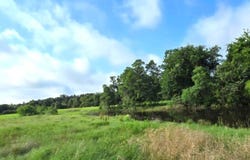 George Wachel Rd., Bremond, TX 76629