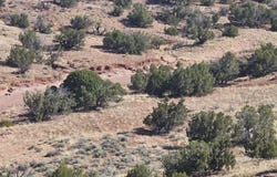 N6448, St. Johns, AZ 85936