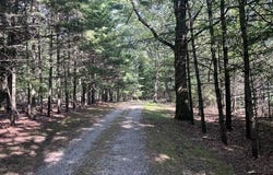 2235 SIUDA ROAD, MANISTEE, MI 49660