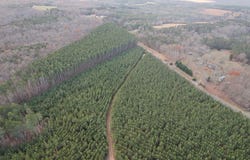 Perkins Mill Rd, Dillwyn, VA 23936