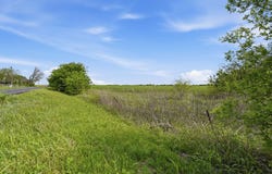 FM 1243, Milford, TX 76670