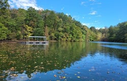 1 Pine Needle Trail, Martin, GA 30557