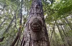 Fools Acre Road, Jackson, AL 36545