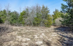 4.81 AC Pauline Lane, Caldwell, TX 77836