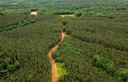 Wolf Pen Rd, Pocahontas, TN 38061