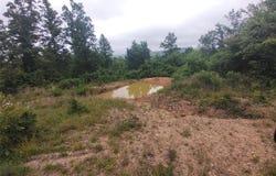 Tract 3 Off Highway O, Belleview, MO 63623