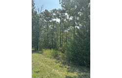 Fox Hollow Road lot: #3, Branson West, MO 65737