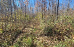 32147 30th Avenue, Isle, MN 56342