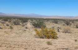 N Joshua Tree Road, Johnson Valley, CA 92285