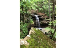 Madison 5430, Elkins, AR 72727