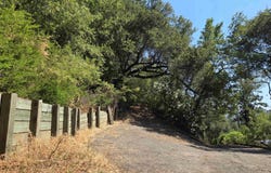 100 Black Log Rd, Kentfield, CA 94904