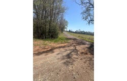 CR 124, Centerville, TX 75833