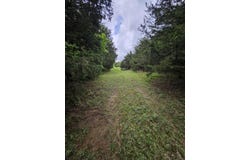W Dade 2, Jerico Springs, MO 64756