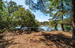 Wadmalaw Island, SC 29487