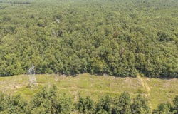4440 PYBURNS Dr, Savannah, TN 38372