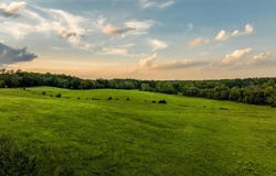 481 RACE GROUND RD, ROCHELLE, VA 22738
