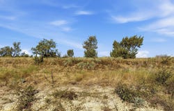Twisted Creek Ranch lot: 46, Gustine, TX 76455