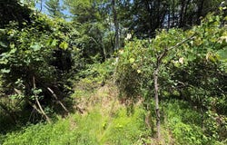 Belair Road, Glen Spey, NY 12737