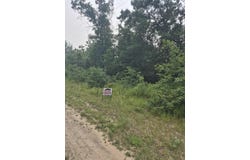 W Foreman Road, Baldwin, MI 49304