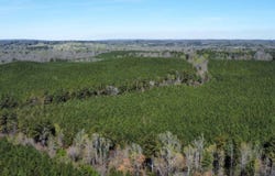Robin Hill Road, Oneonta, AL 35121