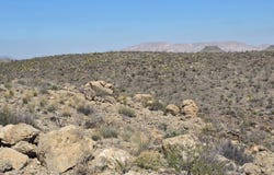 50 Grapestone Rd, Alpine, TX 79852
