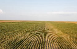 RD 24, Moscow, KS 67952