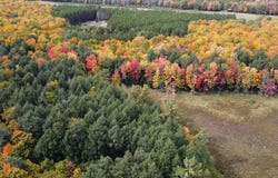 ON CONNORS RD, Three Lakes, WI 54562