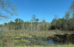Winter Harbor Rd, Colonial Beach, VA 22443