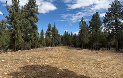 Alderwood, Big Bear City, CA 92314