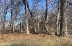 Marsden Street, Springfield, MA 01118