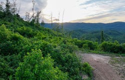 6313 Dunlap Creek Road, Covington, VA 24426