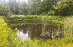 South Road, Belmont, NY 14813