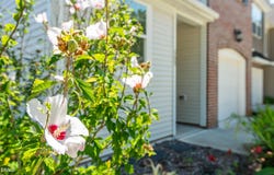 152 Walking Path Place, Hillsborough, NC 27278