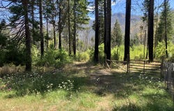 Blue River Dr, BlueRiver, OR 97413